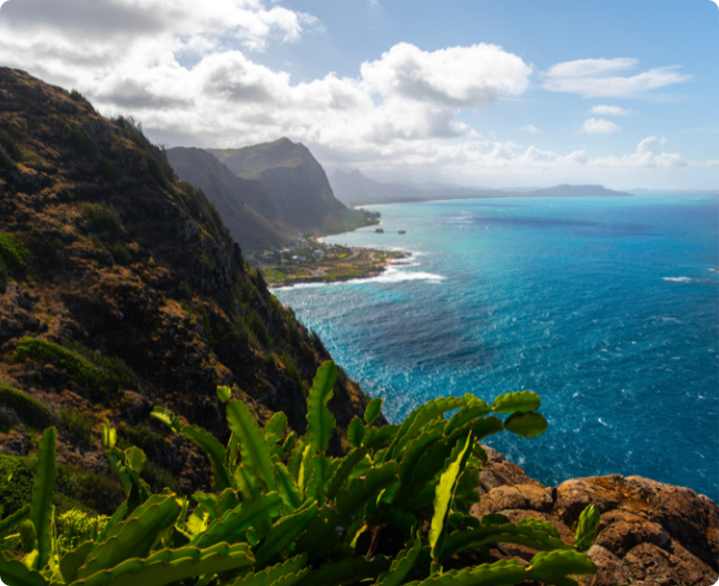 Coastline near Honolulu, the destination of an incentive trip supported by InHouse Physicians.